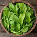 Astro Arugula Seeds - Heirloom Non-GMO Organic Salad Greens - Eruca sativa Leafy Green Seed Packet
