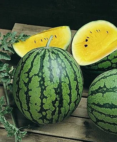 Yellow Gem Sweet Watermelon Seeds - Citrullus lanatus, Non-GMO, Heirloom, Juicy Yellow Flesh, Vining, Seed Packet