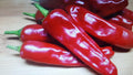 Chili Hot Pepper Seeds 100-Pack Non-GMO Capsicum annuum for Garden and Culinary Use