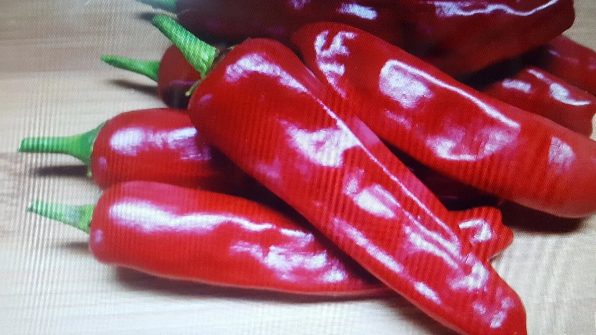 Chili Hot Pepper Seeds 100-Pack Non-GMO Capsicum annuum for Garden and Culinary Use
