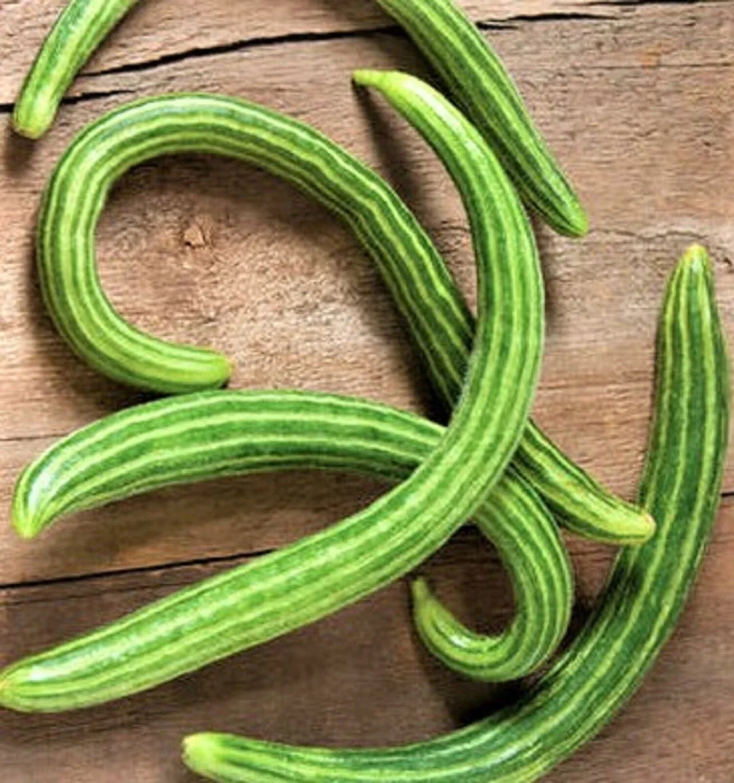 Dark Armenian Cucumber Seeds - Non-GMO Heirloom Variety - Cucumis sativus - Long, Dark Green, Crisp Cucumbers, 50 Seeds
