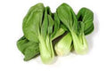 Bok Choy Seeds - 200+ Shanghai Green Stem Chinese Cabbage Brassica rapa subsp. chinensis for Home Garden, Vegetables