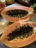 Maradol Papaya Seeds - 25 Sweet Edible Tropical Fruit Seeds Carica papaya for Home Gardening and Container Growing