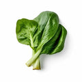 Choy Sum Seeds - 500+ Brassica rapa Subsp. chinensis for Gardening, Vegetables, Greens, Home Growing