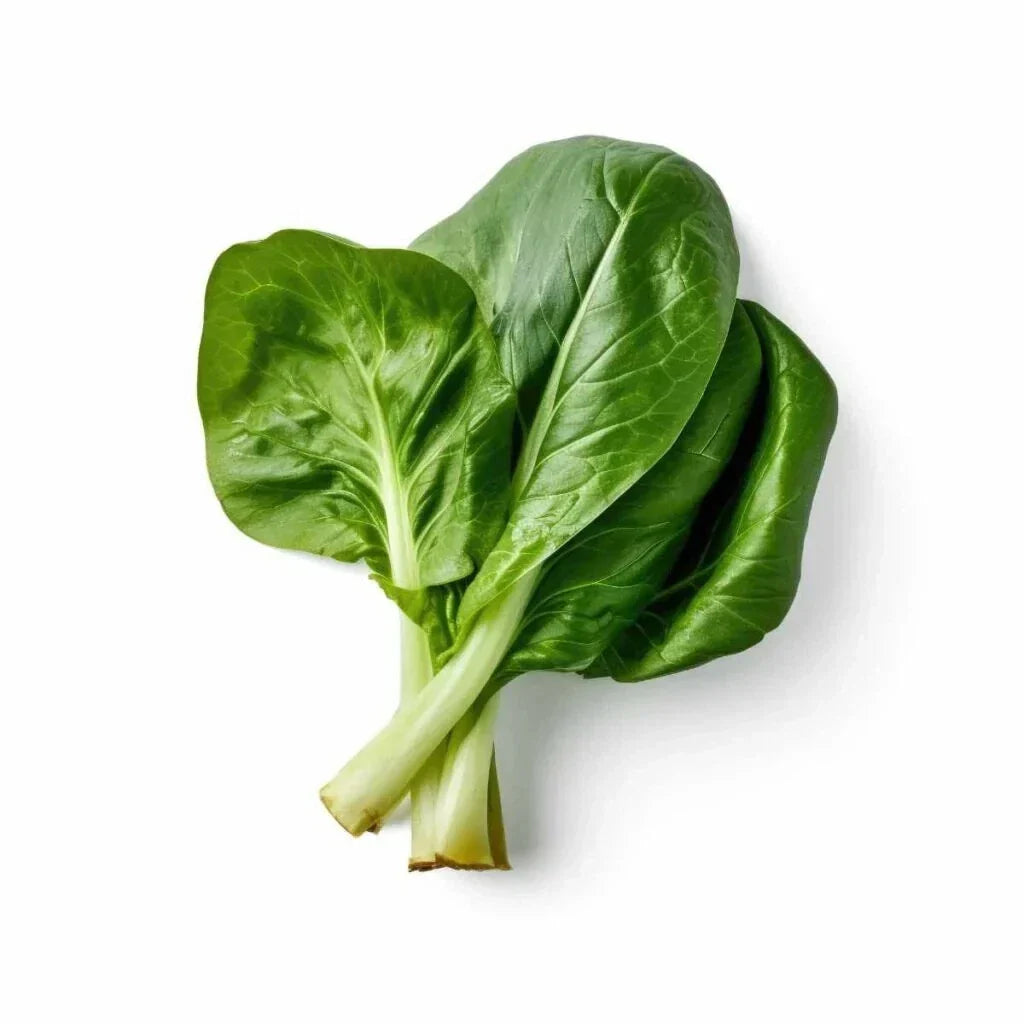 Choy Sum Seeds - 500+ Brassica rapa Subsp. chinensis for Gardening, Vegetables, Greens, Home Growing