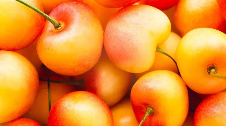 Rainier Cherry Seeds - Pack of 10+ Prunus avium Fruit Tree Seeds for Home Garden Planting, Sweet Cherry Variety