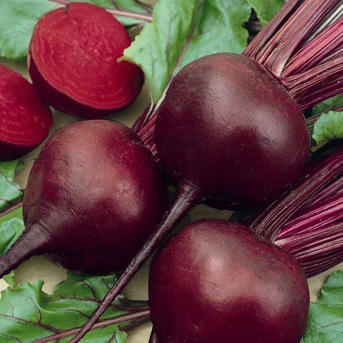 Detroit Dark Red Beet Seeds – Organic Non-GMO Heirloom Beta vulgaris for Home Garden, Salad, and Cooking, 50+ Seeds