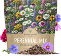 Perennial Wildflower Seeds Mixture - Bulk 1 Ounce Pouch, Native Multi-Color Wildflowers for Garden