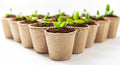 3 Inch Biodegradable Starter Pots for Herbs, Trees, Vegetables - Eco-Friendly Planting Containers, Seedling Pots, Sustainable Gardening
