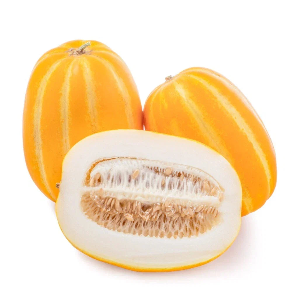 Korean Musk Melon Seeds - Non-GMO Golden Sweet Cucumis melo var. makuwa for Home Garden, Pot, or Raised Bed Cultivation