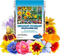 Drought Resistant Wildflower Seeds 1oz Bulk Mix - Multi-Color Open-Pollinated for Gardens & Landscaping