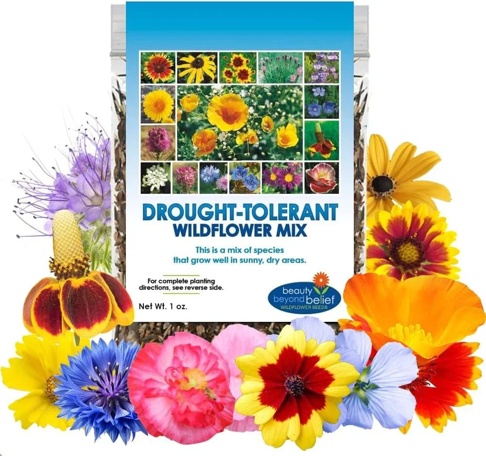 Drought Resistant Wildflower Seeds 1oz Bulk Mix - Multi-Color Open-Pollinated for Gardens & Landscaping