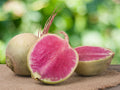Watermelon Radish Seeds - Organic Raphanus sativus - 300+ Pack for Home Gardening & Urban Farming