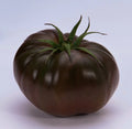 Cherokee Purple Tomato Seeds – Organic Heirloom, Native American Variety, 30+ Solanum lycopersicum, Juicy, Deep Purple, Heirloom Seeds