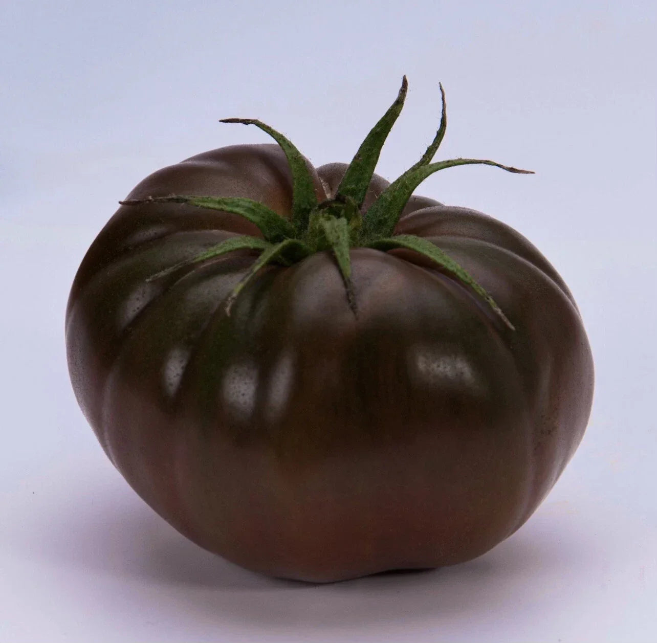Cherokee Purple Tomato Seeds – Organic Heirloom, Native American Variety, 30+ Solanum lycopersicum, Juicy, Deep Purple, Heirloom Seeds