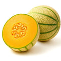 Honey Rock Cantaloupe Seeds – Heirloom Non-GMO Cucumis melo – Juicy, Sweet Melon Seeds for Home Garden, Container Growing, 125+ Packets