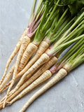 Hollow Crown Parsnip Seeds - Organic Non-GMO Heirloom Pack of 200+ for Home Gardening - Pastinaca sativa
