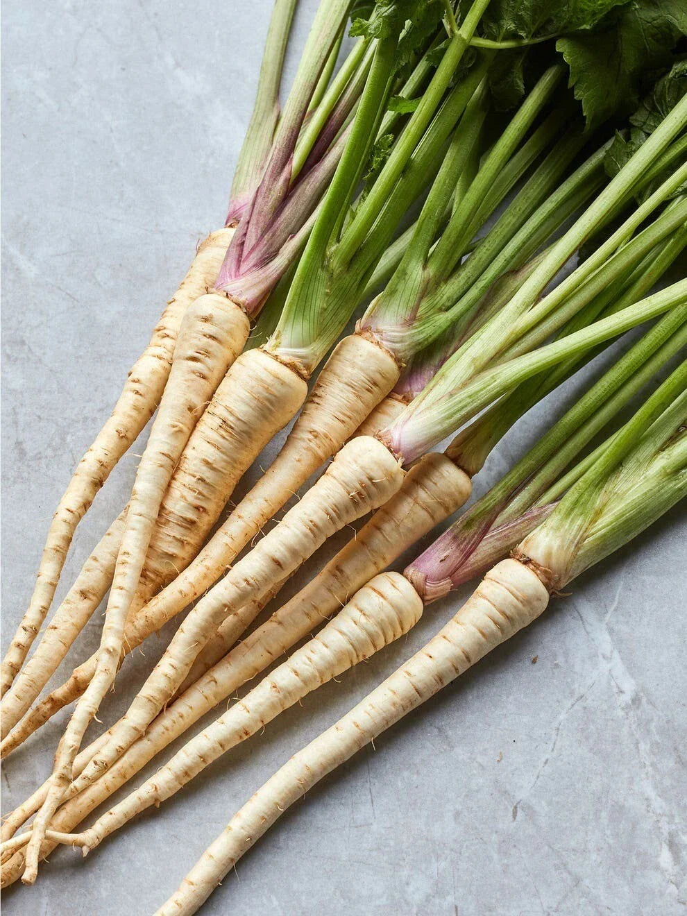 Hollow Crown Parsnip Seeds - Organic Non-GMO Heirloom Pack of 200+ for Home Gardening - Pastinaca sativa