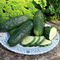 Organic Heirloom Double Yield Cucumber Seeds - Non-GMO, 100+ Pack, Cucumis sativus, Vining, Perfect for Container Gardening