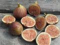 Fig Seeds - 100+ Pack Ficus carica Garden Planting for Home Gardens, Patios & Greenhouses