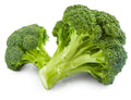 Broccoli Seeds 250 Count | Non-GMO Vegetable Seeds | Brassica oleracea var. italica | Made in USA
