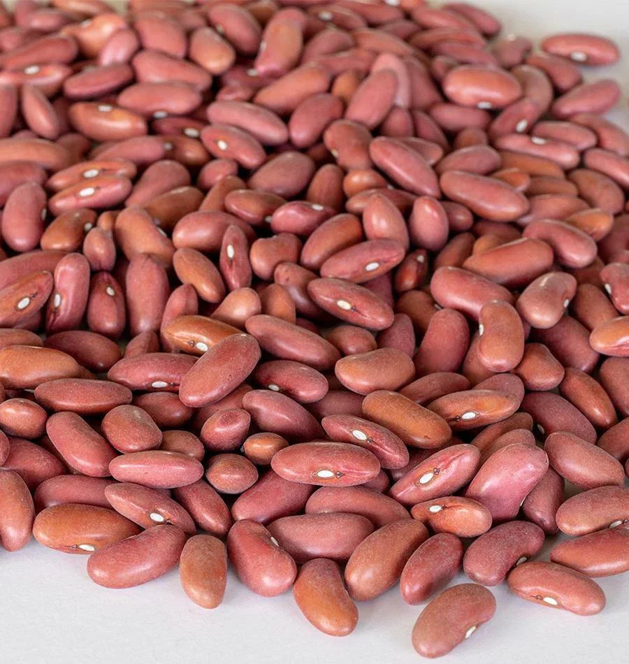 Light Red Kidney Bean Seeds – Organic, Non-GMO, Phaseolus vulgaris, Bush-Type, Pack of 100 Seeds