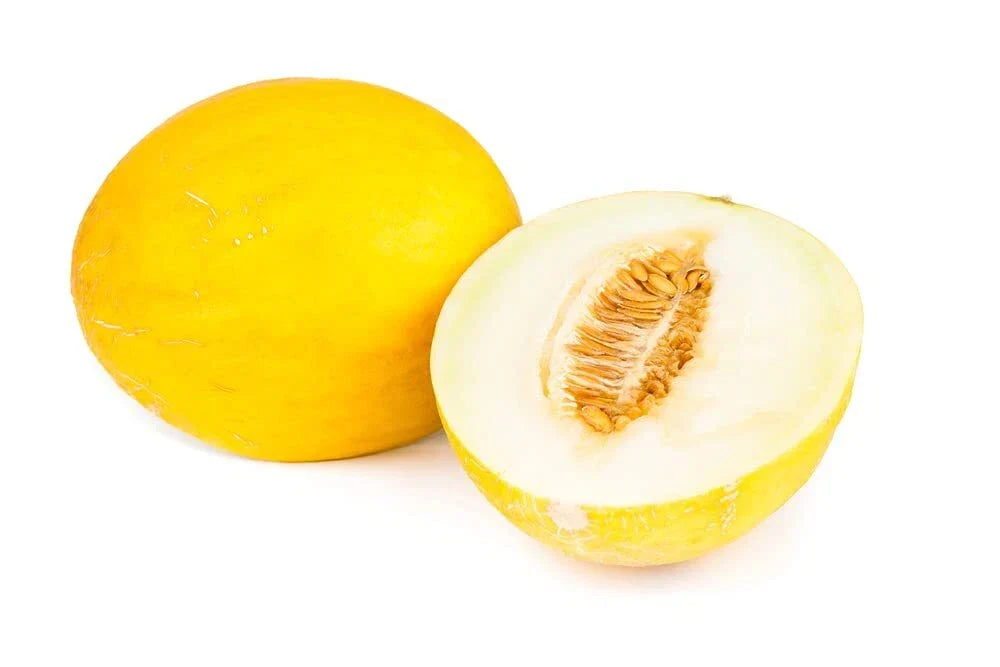 Canary Yellow Melon Seeds - 30 Non-GMO Heirloom Cucumis melo for Garden Planting, Full Sun, Vining, USA Grown