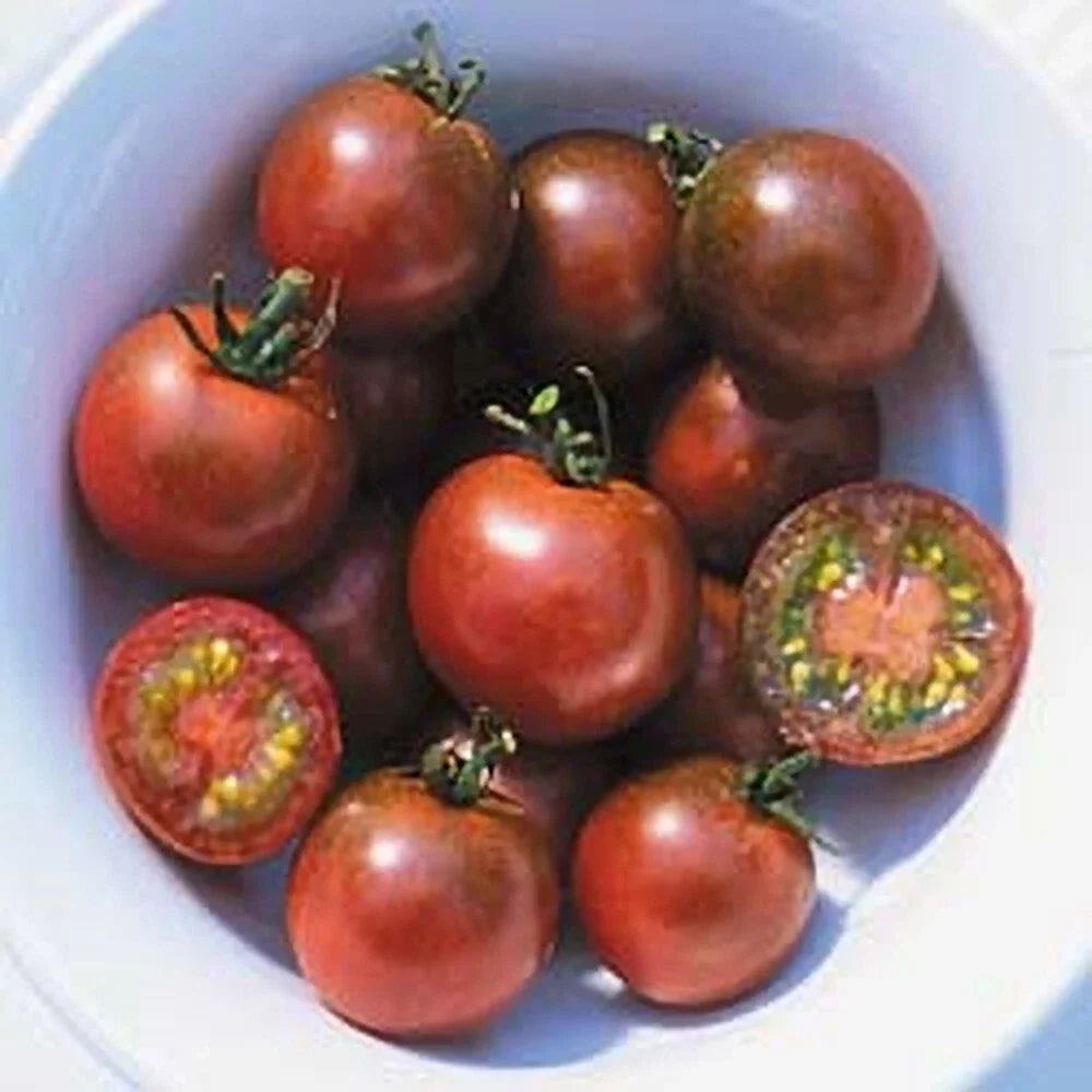 Brown Berry Tomato Seeds – Heirloom, Organic, Non-GMO, Solanum lycopersicum, Small Juicy Tomatoes, Pack of 10+ Seeds