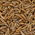 Caraway Seeds - Heirloom Non-GMO Herb Seeds for Culinary Use, Organic Gardening, Carum carvi, Pack of Seeds