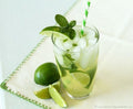 Mojito Mint Seeds - 1000 Rare Mentha × villosa Herb Seeds for Aromatic Gardening and Culinary Use