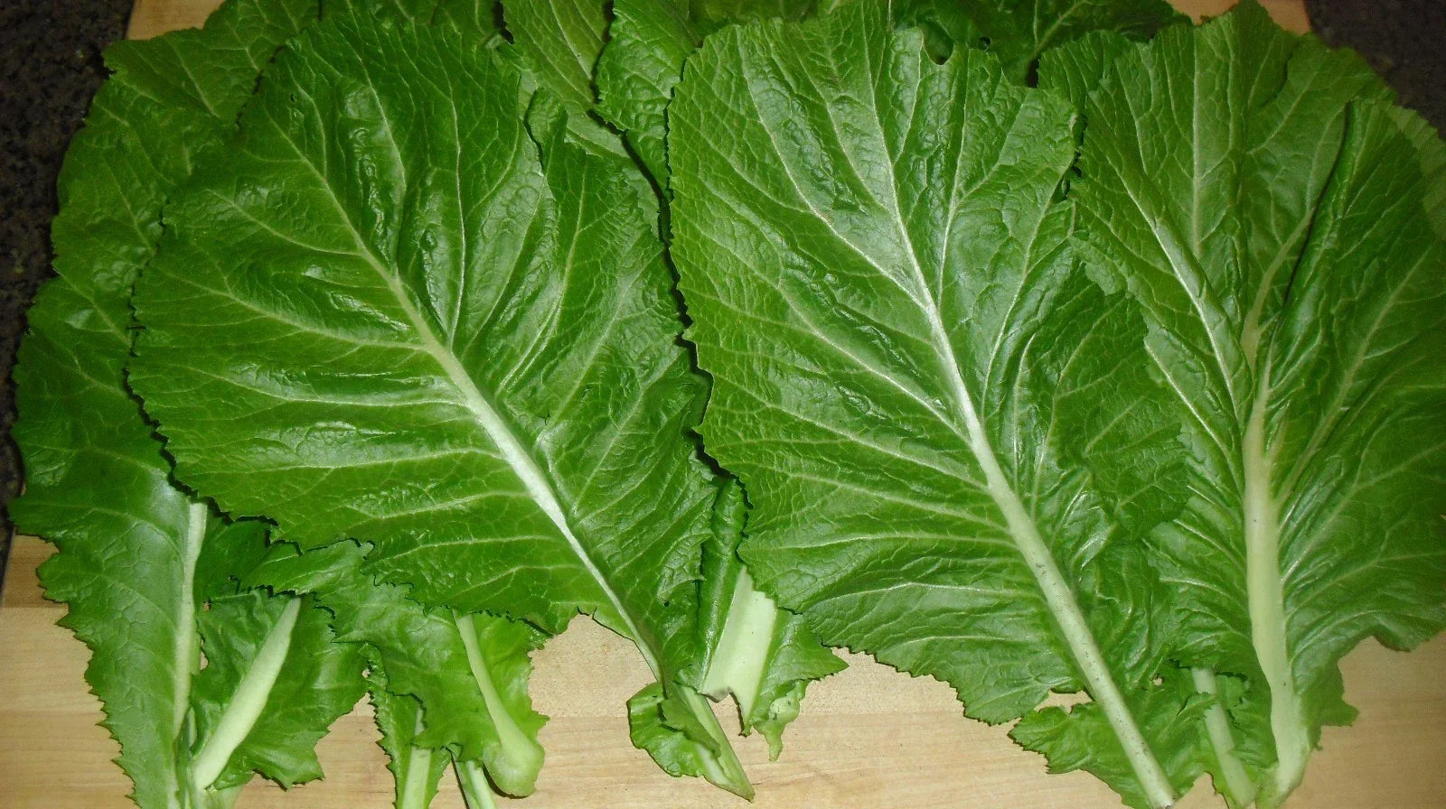Mustard Seeds – 200 Packets – Florida Broadleaf Brassica juncea – Nutrient-Rich Greens, Tender Midribs, High Vitamin Content