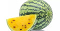 Yellow Petite Heirloom Watermelon Seeds – Citrullus lanatus, Compact Vining, Non-GMO, Perfect for Small Gardens & Containers