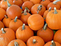 Organic Sugar Pumpkin Seeds - Heirloom Cucurbita pepo for Summer Garden, 30+ Non-GMO Seeds