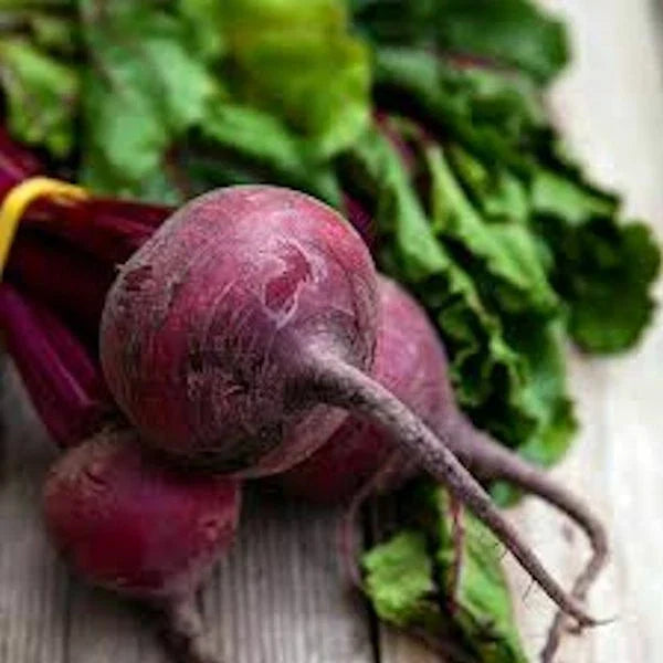 Detroit Dark Red Beet Seeds - 250 Non-GMO Beta vulgaris for Organic Gardening, Container Growing