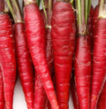 Red Carrot Seeds 500+ Atomic Variety Non-GMO Vegetable Garden Seeds Daucus carota