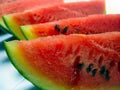 Watermelon Seeds - 100 Heirloom Charleston Grey Non-GMO Citrullus lanatus for Home Garden, Summer Fruit, Vining Plant