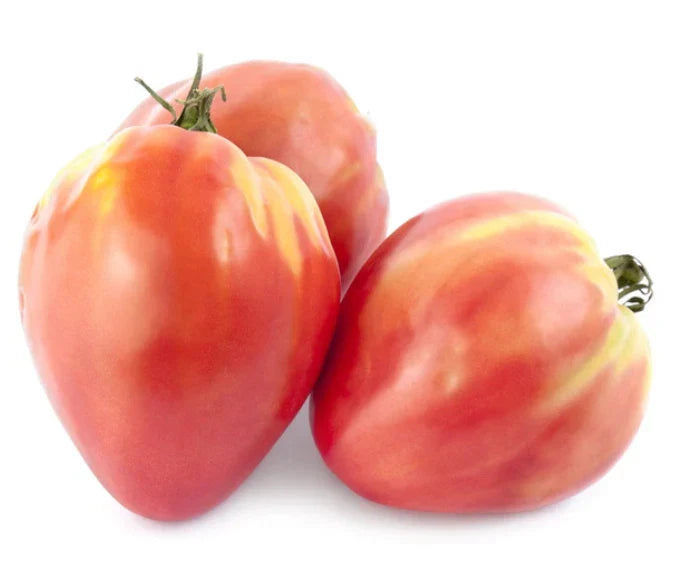 Heirloom Tomato Seeds - Russian Bicolored Oxheart - Indeterminate, Non-GMO, 30 Seeds, Solanum lycopersicum, Vegetable Garden