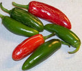 Jalapeno Hot Pepper Seeds - 100 Pack, Capsicum annuum, Spicy Peppers for Salsas & Cooking, Home Garden, Non-GMO