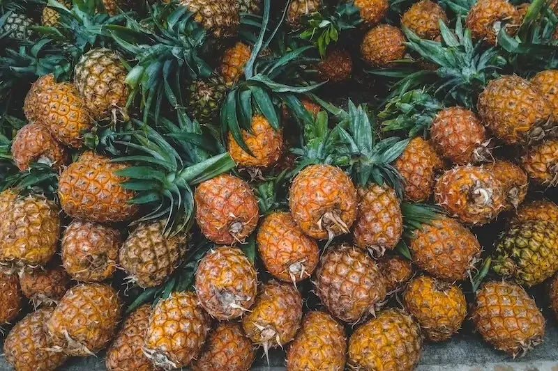 Brecheche Pineapple Seeds - 15+ Packets, Ananas bracteatus, Tropical Garden Planting, Non-GMO, Easy to Grow, USA