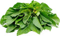 Amaranth Seeds Pack of 100 – Chinese Spinach Edible Green Vegetable – Amaranthus viridis Seeds for Cooking & Nutrition