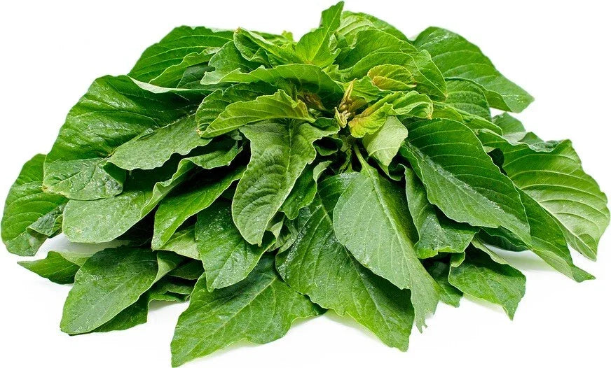 Amaranth Seeds Pack of 100 – Chinese Spinach Edible Green Vegetable – Amaranthus viridis Seeds for Cooking & Nutrition