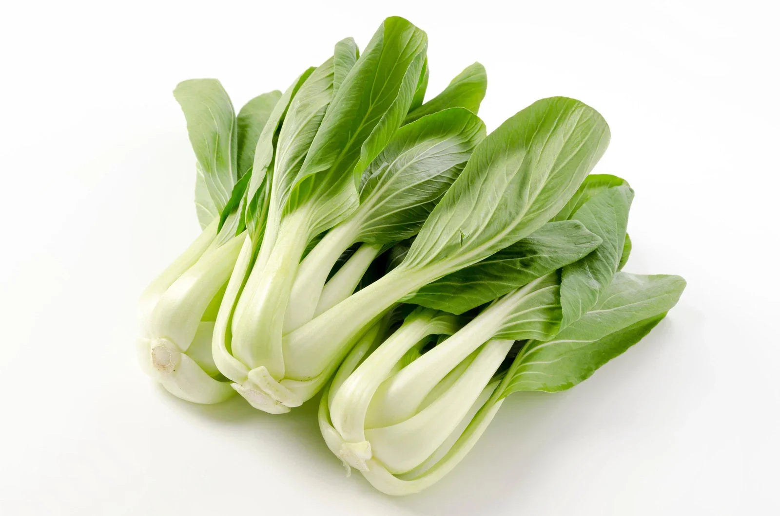 Chinese White Stem Pak Choi Seeds, Non-GMO, Heirloom Brassica rapa var. chinensis, Vegetable Seeds for Home Gardening
