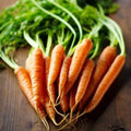 Imperator Carrot Seeds - 2000 Heirloom NON-GMO Vegetable Seeds - Daucus carota, Full Sun, Easy to Grow, Fresh Eating & Cooking