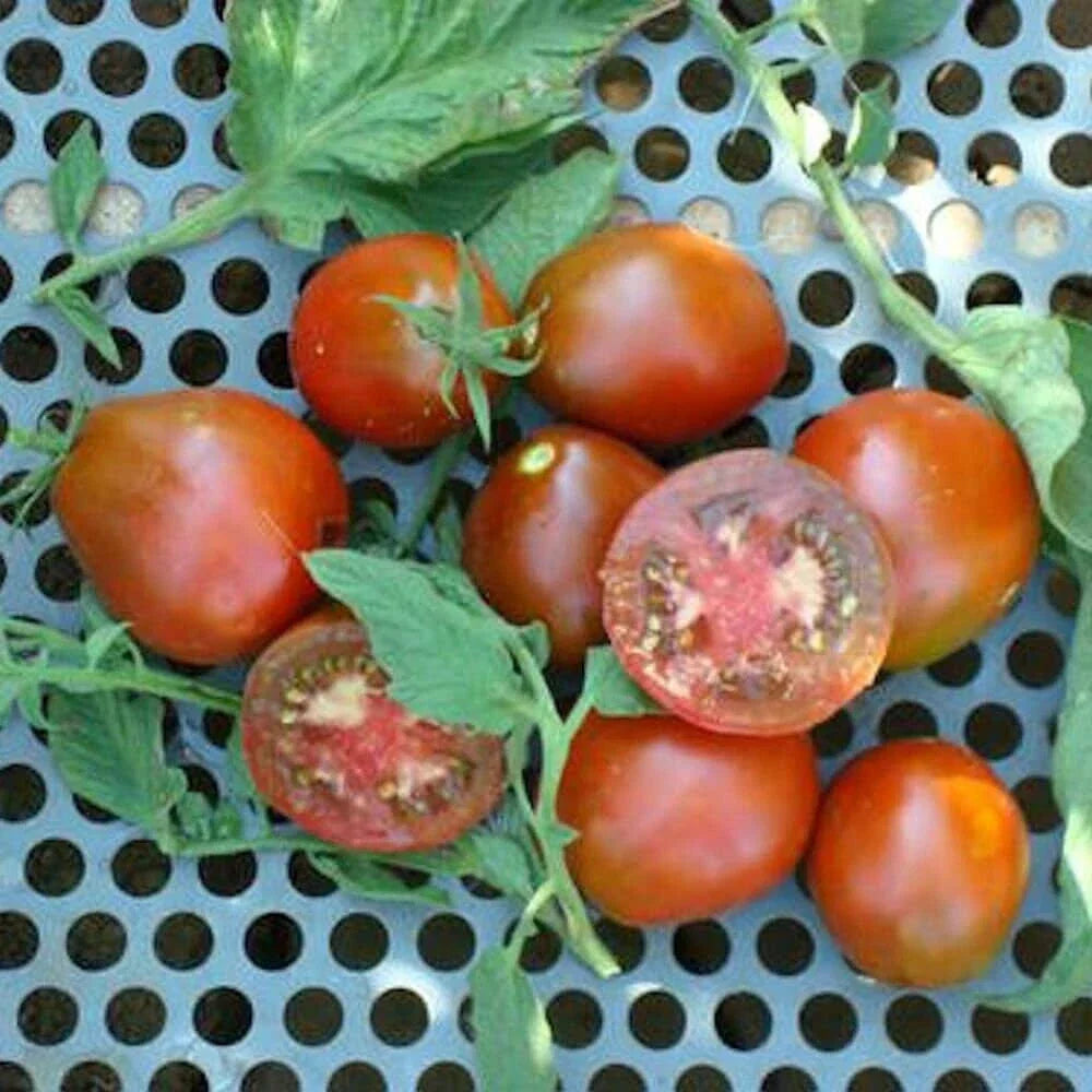 Black Truffle Tomato Seeds - Indeterminate, Non-GMO, Solanum lycopersicum, Rich Flavor, High Yield, Home Garden, Container Gardening