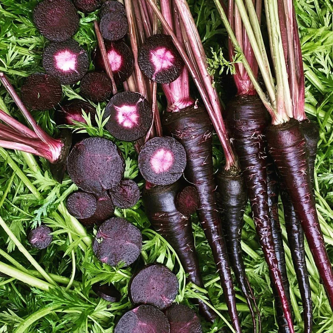 Black Nebula Carrot Seeds - Non-GMO Vegetable Seeds, Purple Color, Daucus carota, 150+ Seeds, Easy to Grow, USA Free Shipping