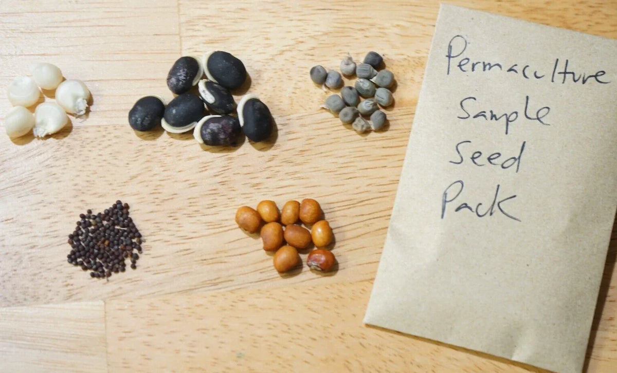 Permaculture Seed Sample Pack - 5 Heirloom Vegetable Varieties Organic Non-GMO Seeds for Home Gardening