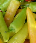 Hungarian Hot Wax Pepper Seeds - Non-GMO Vegetable Seeds, Capsicum annuum, Spicy Hot Peppers for Garden or Pots, 50+ Seeds