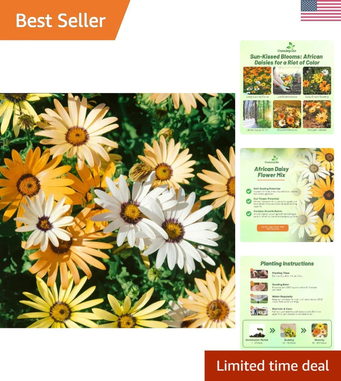 Heirloom African Daisy Seeds - 1/4 lb, Bright Colorful Blooms, Easy-to-Grow Annuals for Borders & Containers, Arctotis spp.