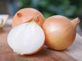 Yellow Granex Onion Seeds - 500+ Non-GMO Allium cepa for Garden Planting, Full Sun, Homegrown Bulb Crop