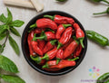 Tabiche Hot Pepper Seeds - 25+ Capsicum annuum for Garden Planting, Spicy Peppers, Home Garden, USA
